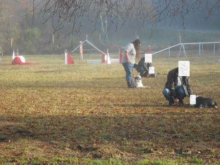 Le 23 décembre 2012 : Obéissance : Couché